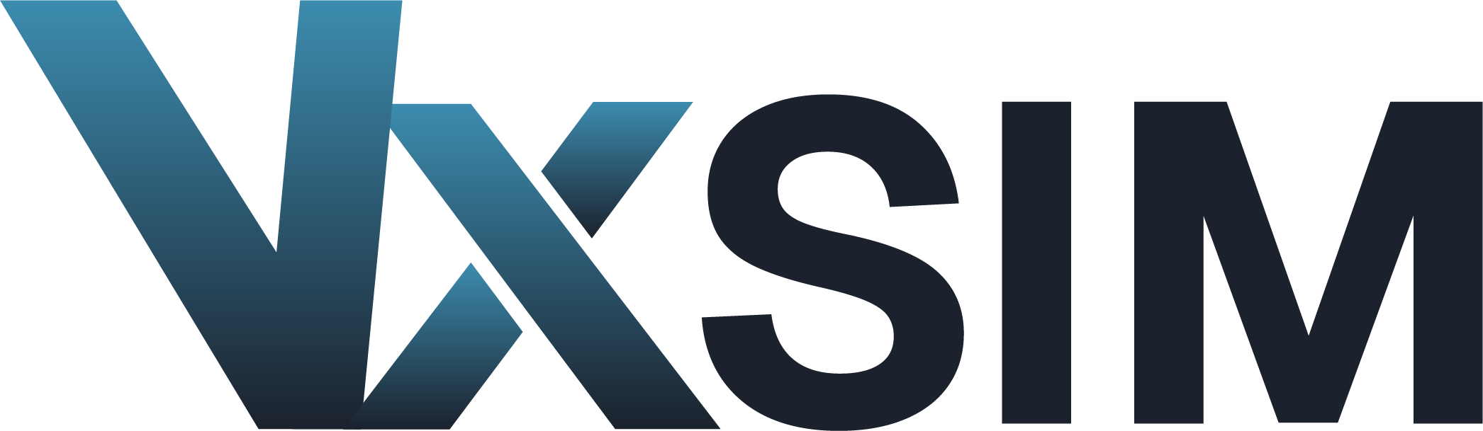 VxSim